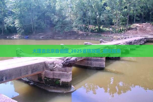 大理去北京自由团