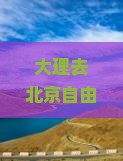 大理去北京自由团