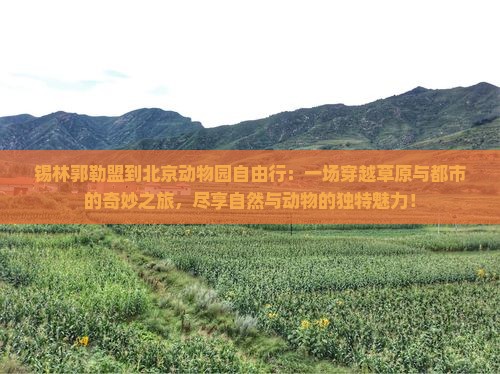 锡林郭勒盟到北京动物园自由行