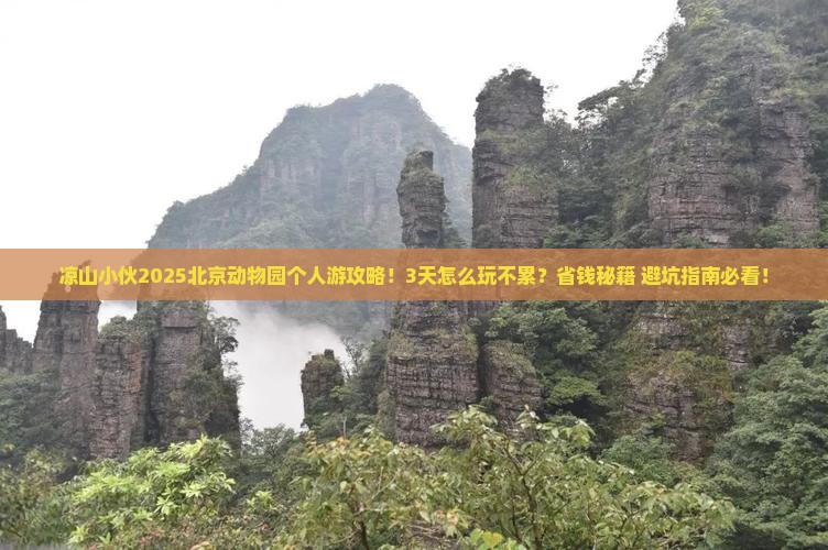 凉山去北京动物园个人游