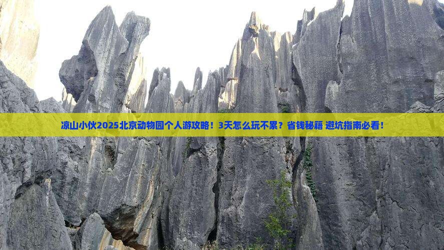 凉山去北京动物园个人游