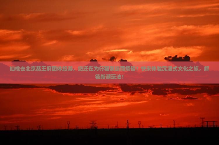 仙桃去北京恭王府团体旅游
