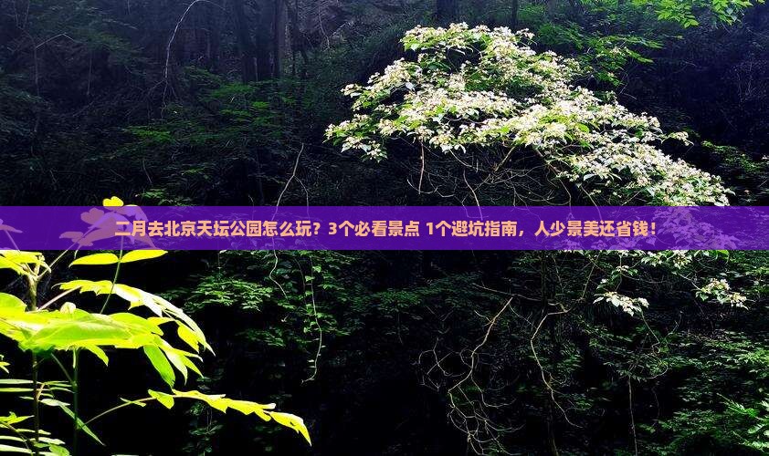 二月去北京天坛公园攻略