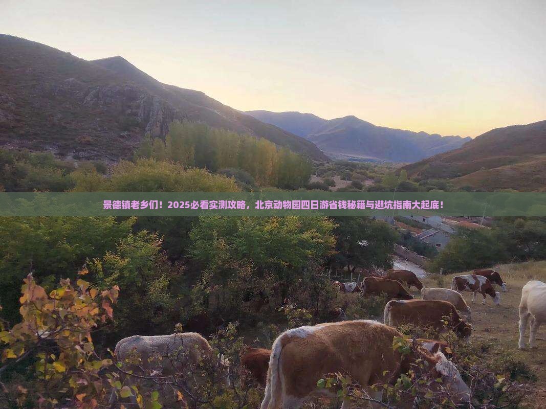 景德镇去北京动物园四日游