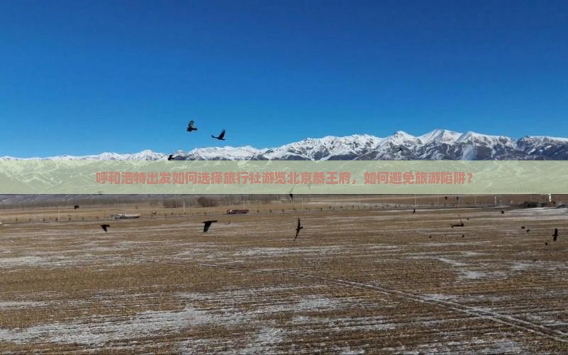 呼和浩特出发如何选择旅行社游览北京恭王府，如何避免旅游陷阱？