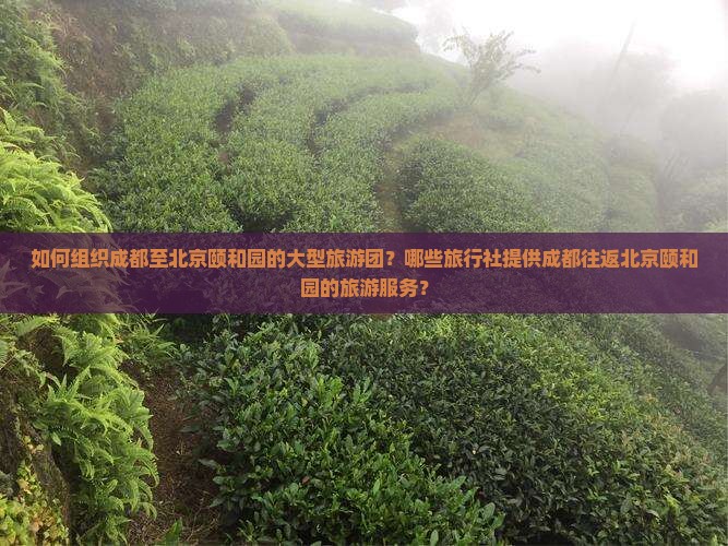 如何组织成都至北京颐和园的大型旅游团？哪些旅行社提供成都往返北京颐和园的旅游服务？
