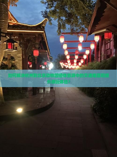 如何解决杭州到北京动物园团体旅游中的交通难题和提升游玩体验？