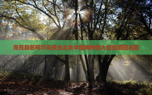 克孜勒苏柯尔克孜去北京中国博物馆大型旅游团启程