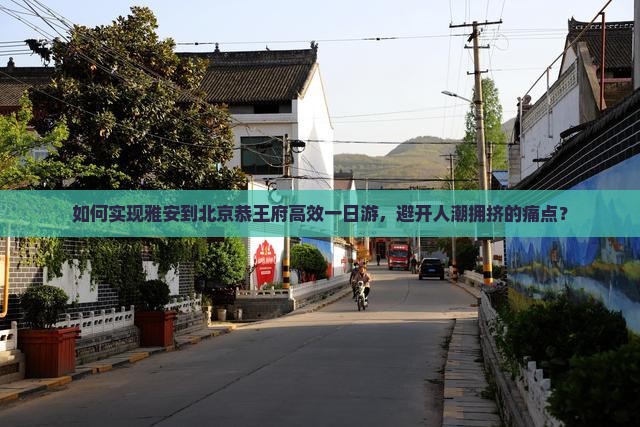 如何实现雅安到北京恭王府高效一日游，避开人潮拥挤的痛点？