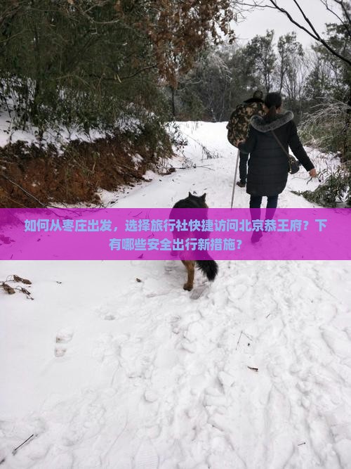 如何从枣庄出发，选择旅行社快捷访问北京恭王府？下有哪些安全出行新措施？