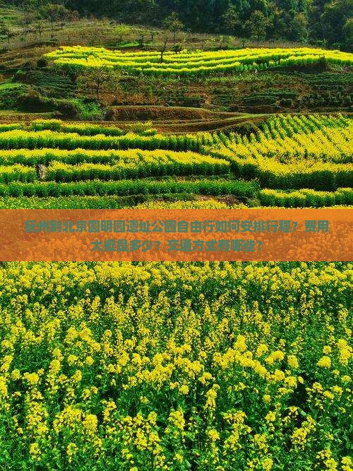 抚州到北京圆明园遗址公园自由行如何安排行程？费用大概是多少？交通方式有哪些？