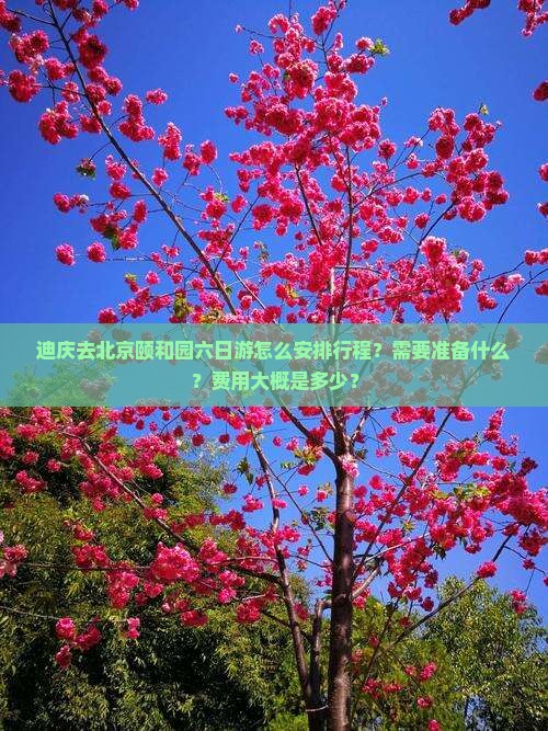 迪庆去北京颐和园六日游怎么安排行程？需要准备什么？费用大概是多少？