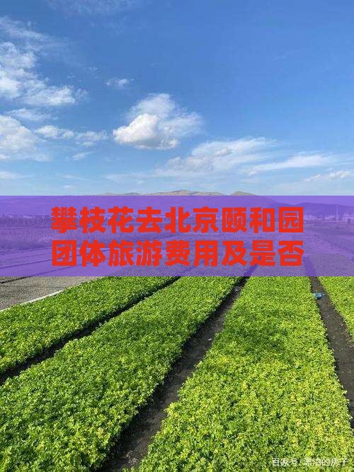 攀枝花去北京颐和园团体旅游费用及是否可行