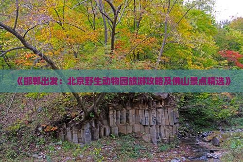 《邯郸出发：北京野生动物园旅游攻略及佛山景点精选》