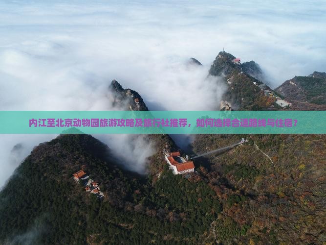 内江至北京动物园旅游攻略及旅行社推荐，如何选择合适路线与住宿？