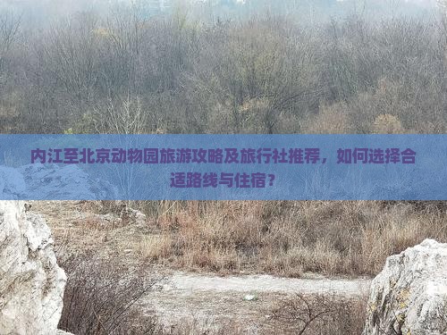 内江至北京动物园旅游攻略及旅行社推荐，如何选择合适路线与住宿？