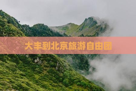 大丰到北京旅游自由团