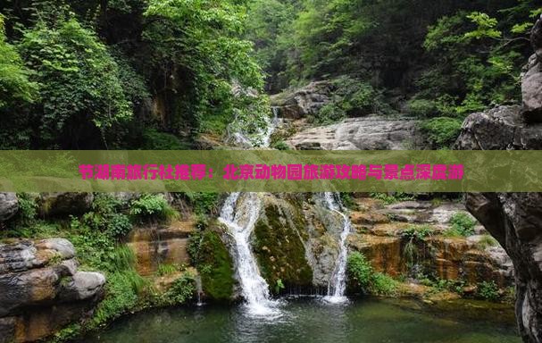 节湖南旅行社推荐：北京动物园旅游攻略与景点深度游