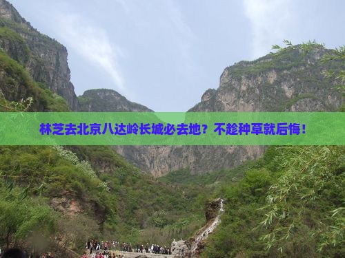 林芝去北京八达岭长城必去地？不趁种草就后悔！