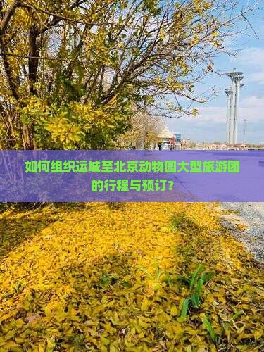 如何组织运城至北京动物园大型旅游团的行程与预订？