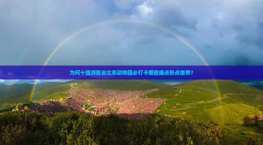 为何十堰游客去北京动物园必打卡哪些痛点热点地带？