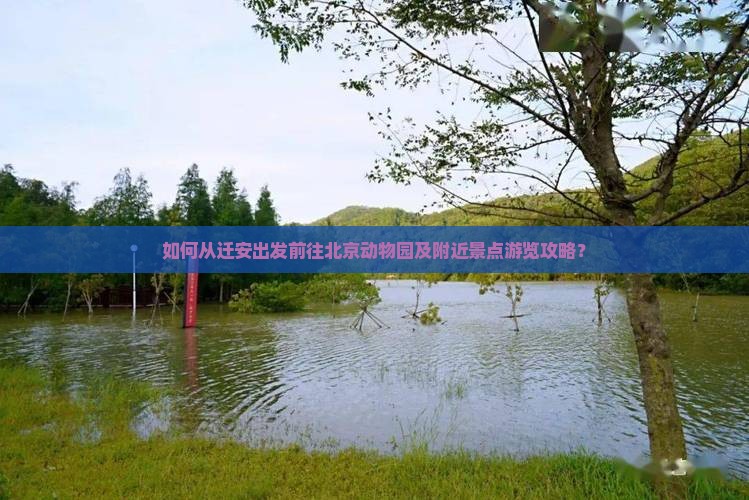如何从迁安出发前往北京动物园及附近景点游览攻略？