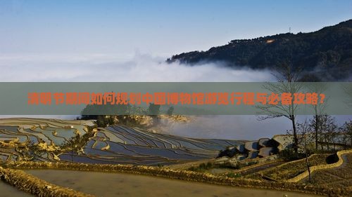 清明节期间如何规划中国博物馆游览行程与必备攻略？