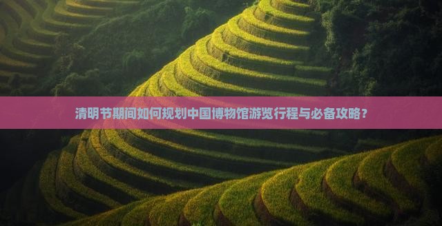 清明节期间如何规划中国博物馆游览行程与必备攻略？