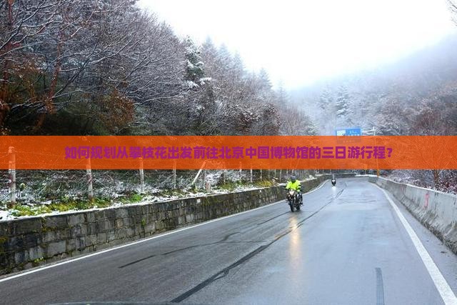 如何规划从攀枝花出发前往北京中国博物馆的三日游行程？