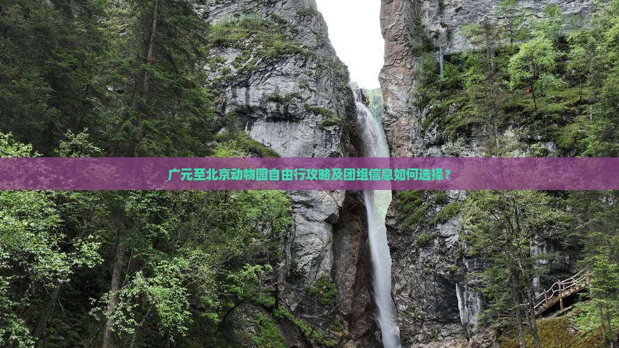 广元至北京动物园自由行攻略及团组信息如何选择？