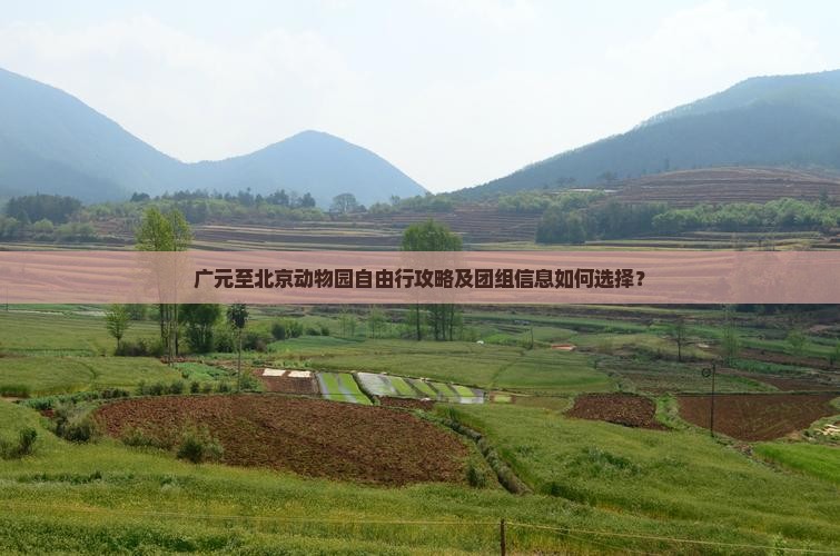 广元至北京动物园自由行攻略及团组信息如何选择？
