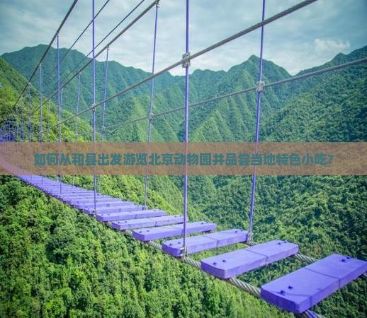 如何从和县出发游览北京动物园并品尝当地特色小吃？