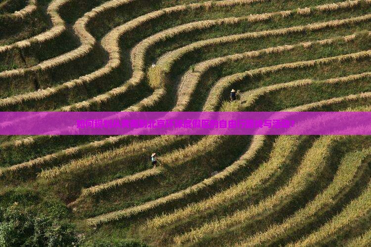 如何规划从黄南到北京环球度假区的自由行路线与活动？