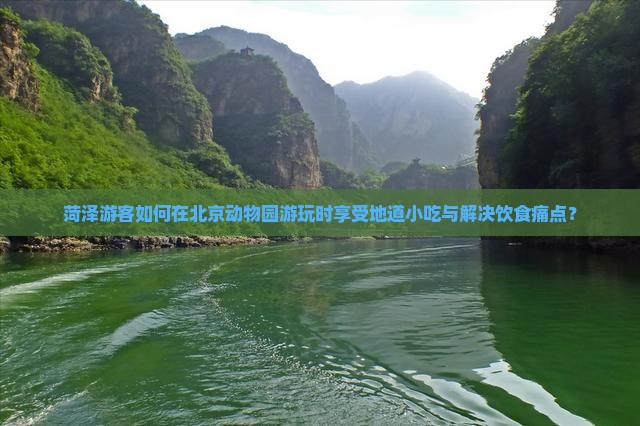 菏泽游客如何在北京动物园游玩时享受地道小吃与解决饮食痛点？