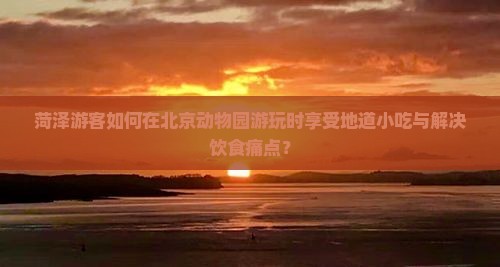 菏泽游客如何在北京动物园游玩时享受地道小吃与解决饮食痛点？