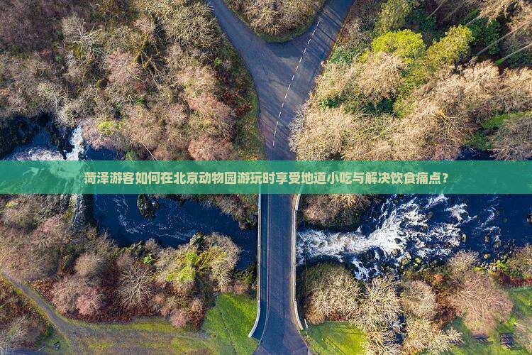菏泽游客如何在北京动物园游玩时享受地道小吃与解决饮食痛点？
