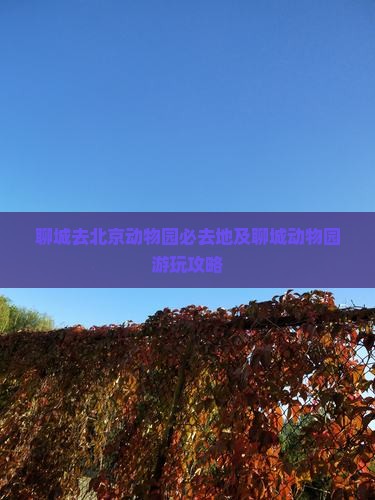 聊城去北京动物园必去地及聊城动物园游玩攻略