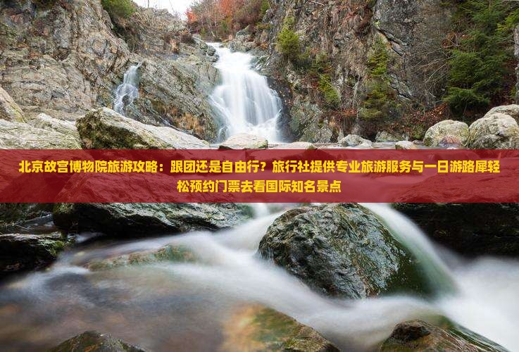 北京故宫博物院旅游攻略：跟团还是自由行？旅行社提供专业旅游服务与一日游路犀轻松预约门票去看国际知名景点