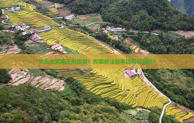 节去北京恭王府旅游？有哪些注意事项和好玩的？