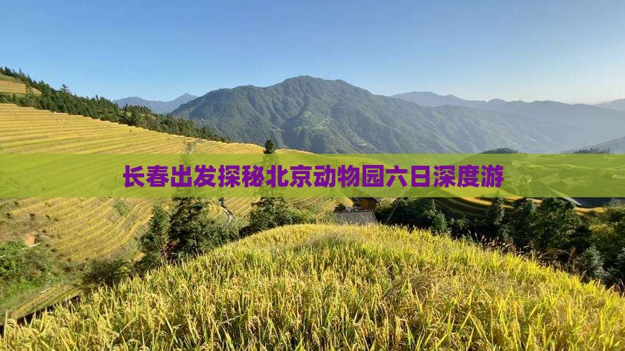 长春出发探秘北京动物园六日深度游