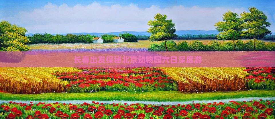 长春出发探秘北京动物园六日深度游