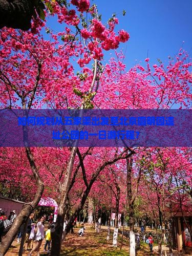 如何规划从五家渠出发至北京圆明园遗址公园的一日游行程？