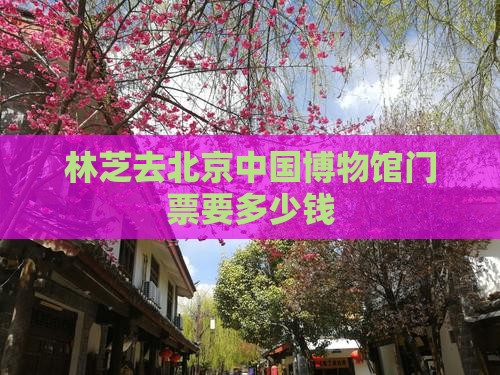 林芝去北京中国博物馆门票要多少钱