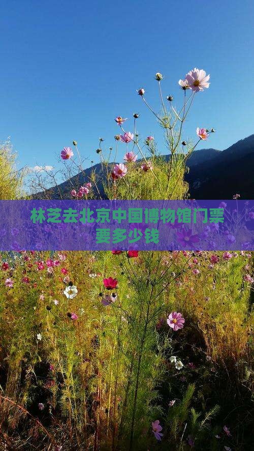 林芝去北京中国博物馆门票要多少钱