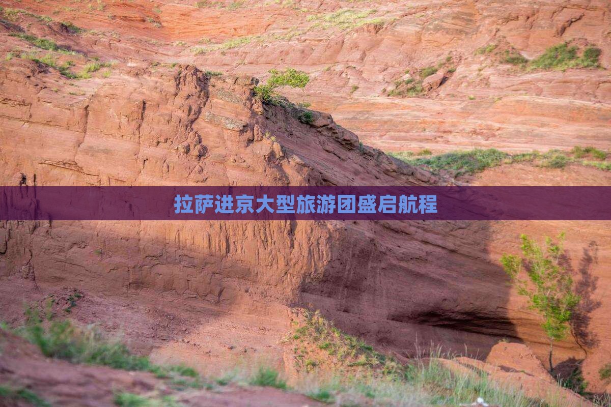 拉萨进京大型旅游团盛启航程