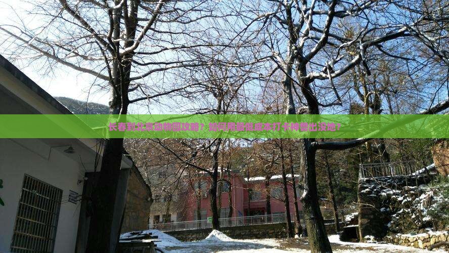 长春到北京动物园攻略？如何用最低成本打卡神兽出没地？