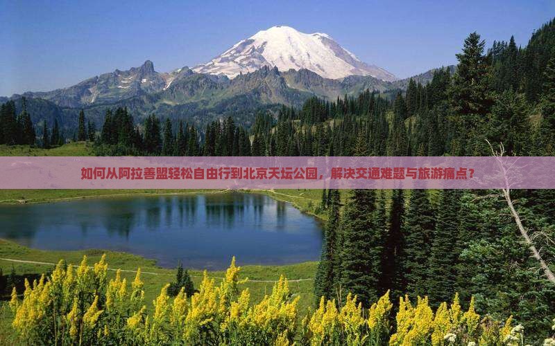 如何从阿拉善盟轻松自由行到北京天坛公园，解决交通难题与旅游痛点？