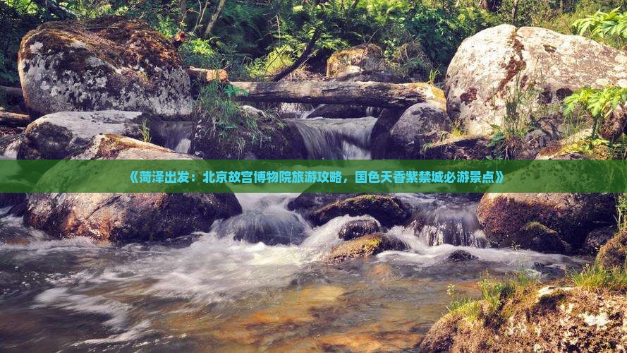 《菏泽出发：北京故宫博物院旅游攻略，国色天香紫禁城必游景点》