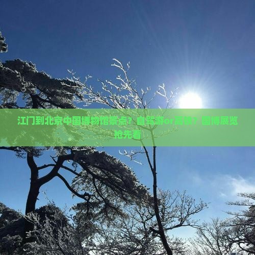 江门到北京中国博物馆景点？自驾游or高铁？国博展览抢先看