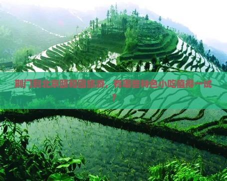 荆门到北京颐和园旅游，有哪些特色小吃值得一试？